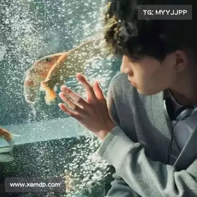 毕湘忱